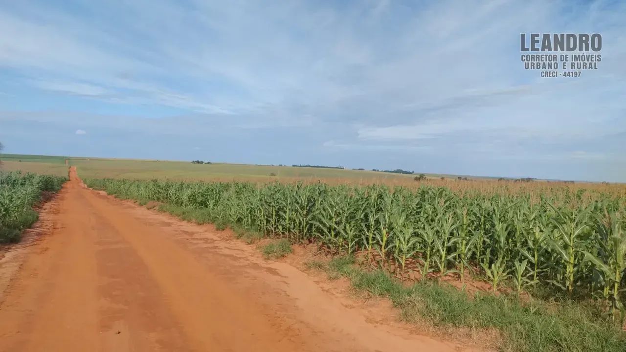 Fazenda para venda no PR. NOROESTE.