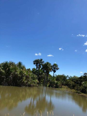 Fazenda - Paraíso do Tocantins/TO - Foto 5