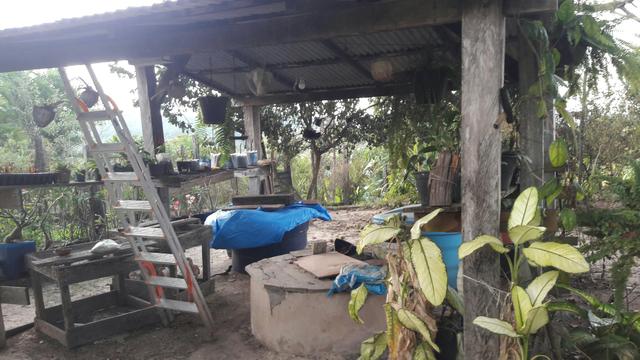 Vendo ou troco por casa em vilhena ro - Foto 11