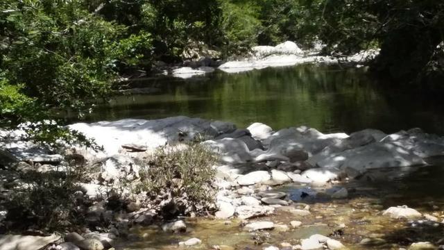Vendo uma chácara de 2 hectares no coxipo do ouro ! - Foto 12
