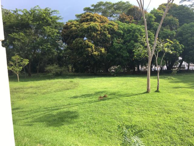 Vendo Chacara na região do Sucuri - Foto 4
