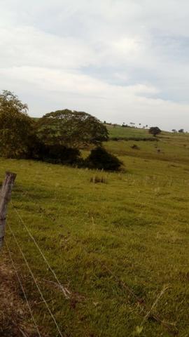 Sítio de 3.5 alqueires - Região de Promissão - Foto 2