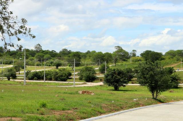 Lote pronto pra construir - 7x20 Com mensais de 389 reais e Sinal parcelado em 3x - Foto 8
