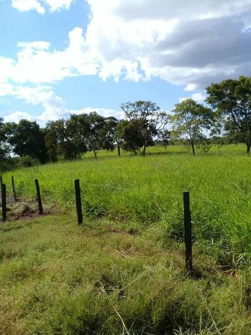 Fazenda 350,hectares beira do rio cuiaba - Foto 2