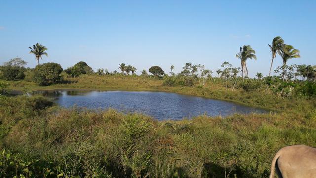 Vendo terreno com propriedade de 200m - Foto 3