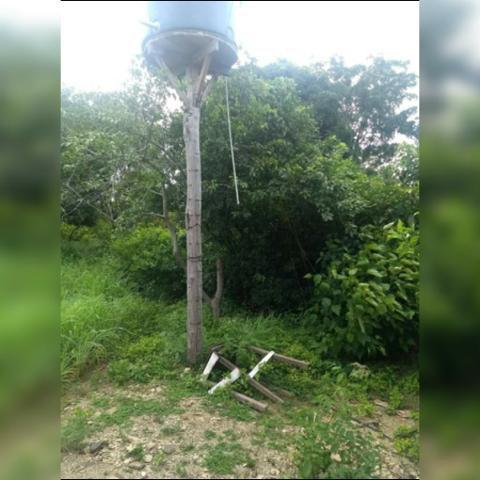 Sítio com área de 15,5hectares , Região da guia - Foto 8