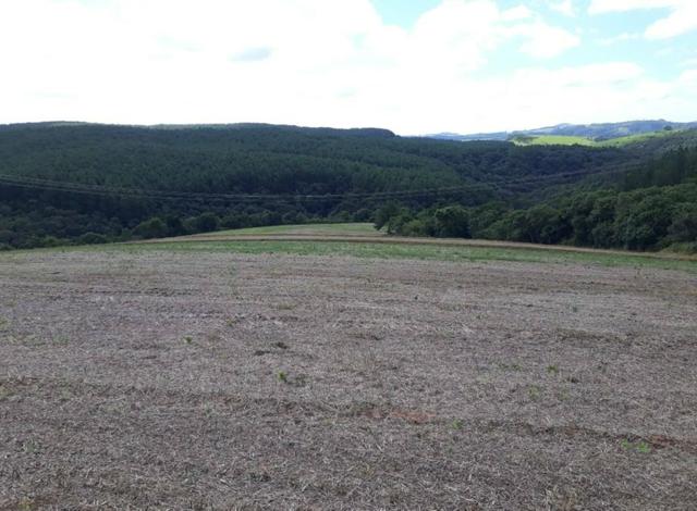 Terreno rural - Foto 5