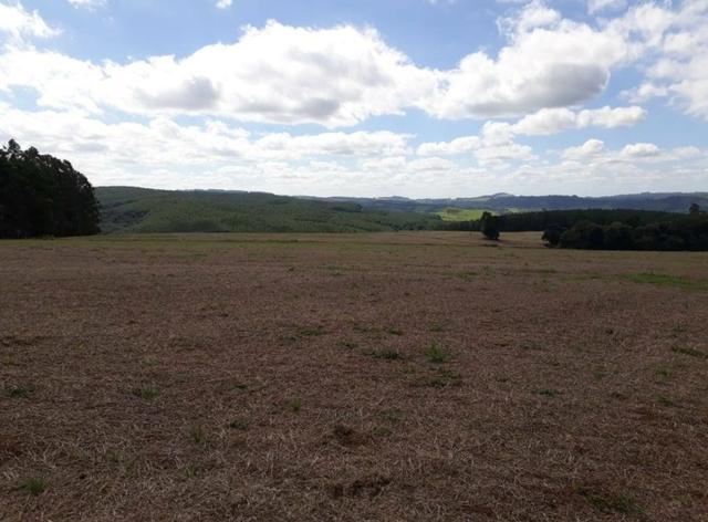 Terreno rural - Foto 4