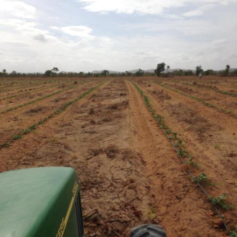Fazenda no Bonfim - Foto 10