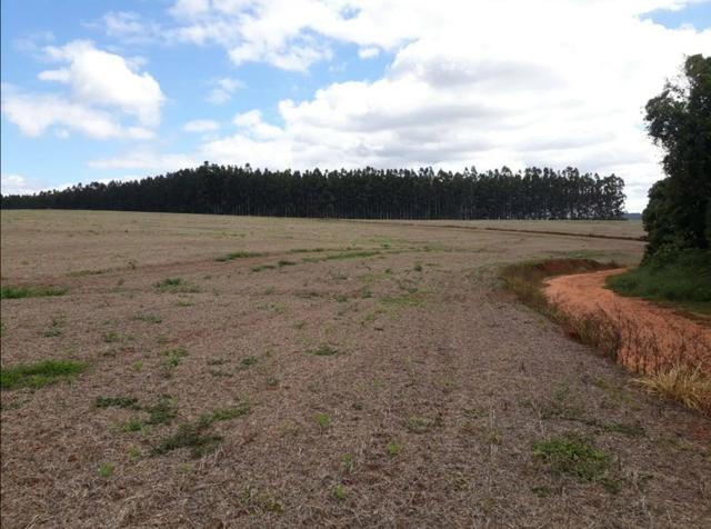 Terreno rural - Foto 11