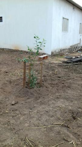 Vendo ágio de um terreno 12×55 com acesso ao rio - Foto 20