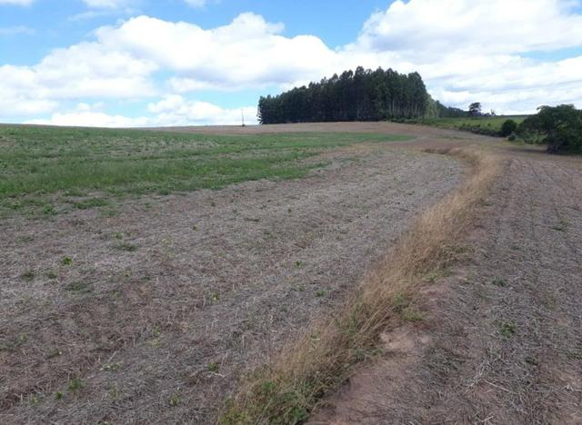Terreno rural
