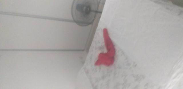 Apartamento para temporada em Fortaleza A 1km praia - Foto 12