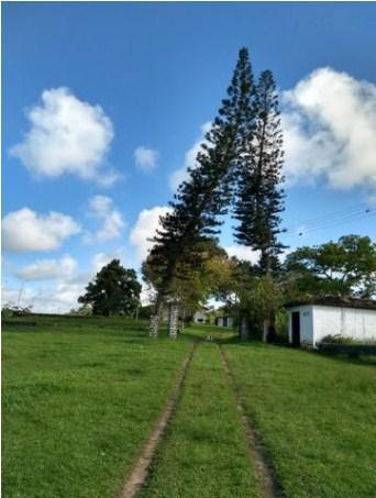 Fazenda à venda, 4190000 m² por R$ 5.600.000,00 - Cidade Nova - Ilhéus/BA - Foto 9