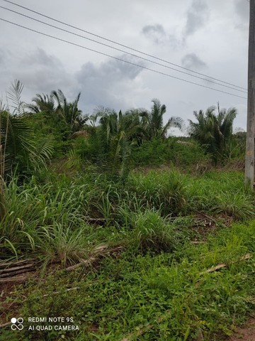 Fazenda em Aldeias Altas-Ma - Foto 4
