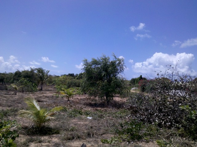 Vendo Lotes em Pium RN - Foto 5