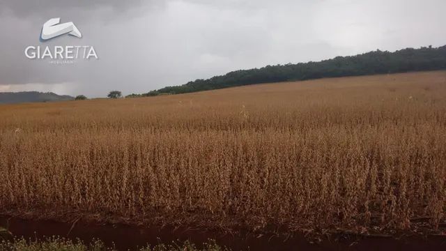 Rural à venda,  Linha São Jorge, ZONA RURAL, SANTA HELENA - PR - Foto 7
