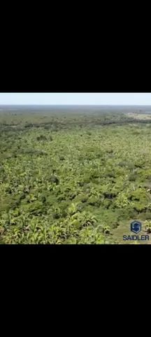  Fazenda 86.580 hectares em São Félix do Araguaia  - Foto 5