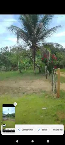  Fazenda - Foto 2