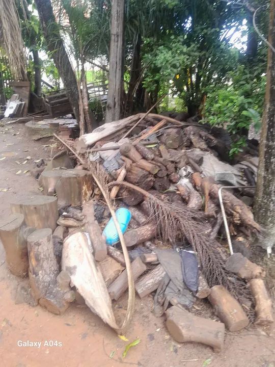 Lenha para sua lareira ou fogueira - Foto 2