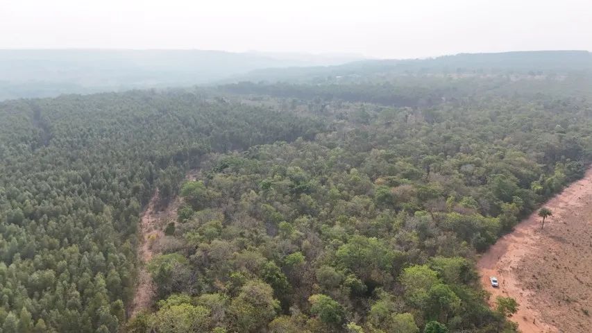 Chácara com 50 Hectares as Margens da Rodovia 080 Corguinho-MS! - Foto 4