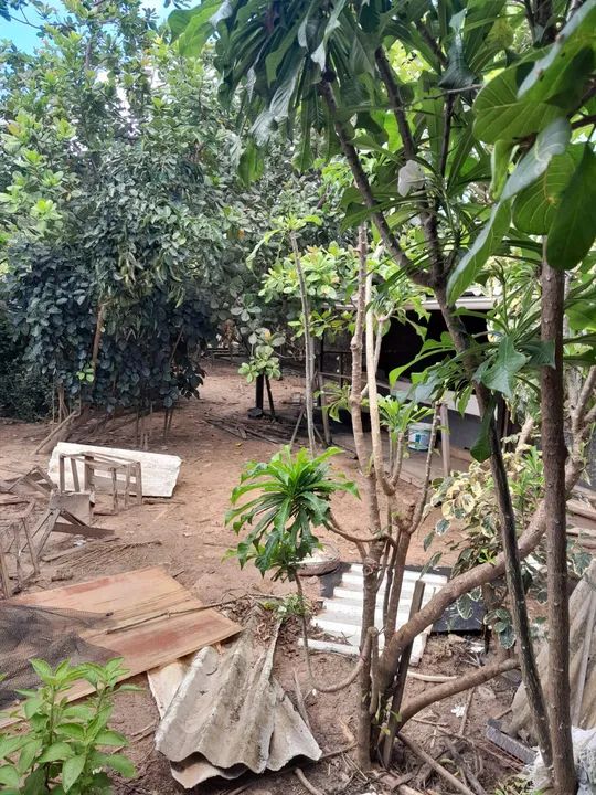 ALUGO TERRENO NO CALHAU 800 METROS QUADRADOS - Foto 3