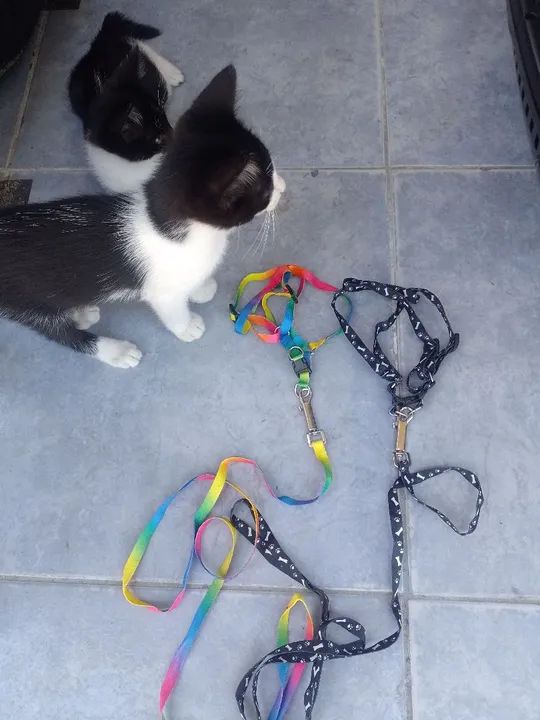 Doação solidária  - Foto 5