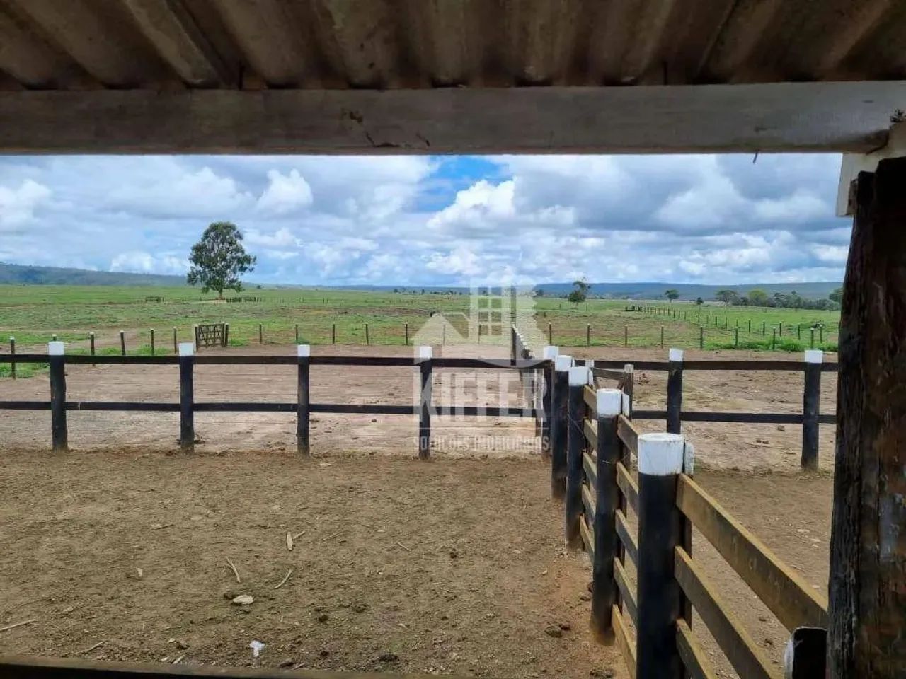 Fazenda com 6 dormitórios à venda,  m² por R$ 62.000.000,00 - Zona Rural - Campos Altos/MG - Foto 4
