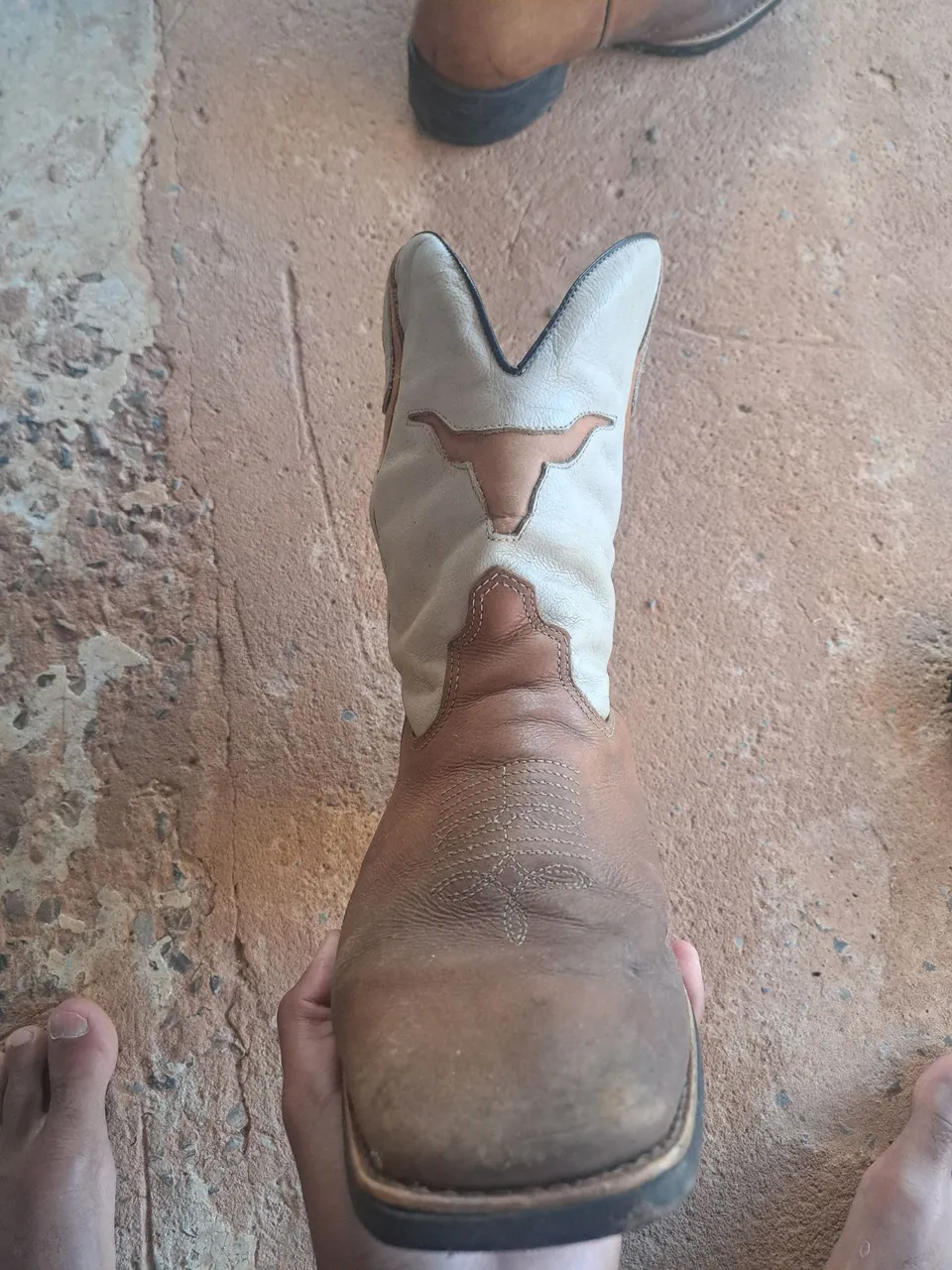 Bota texana