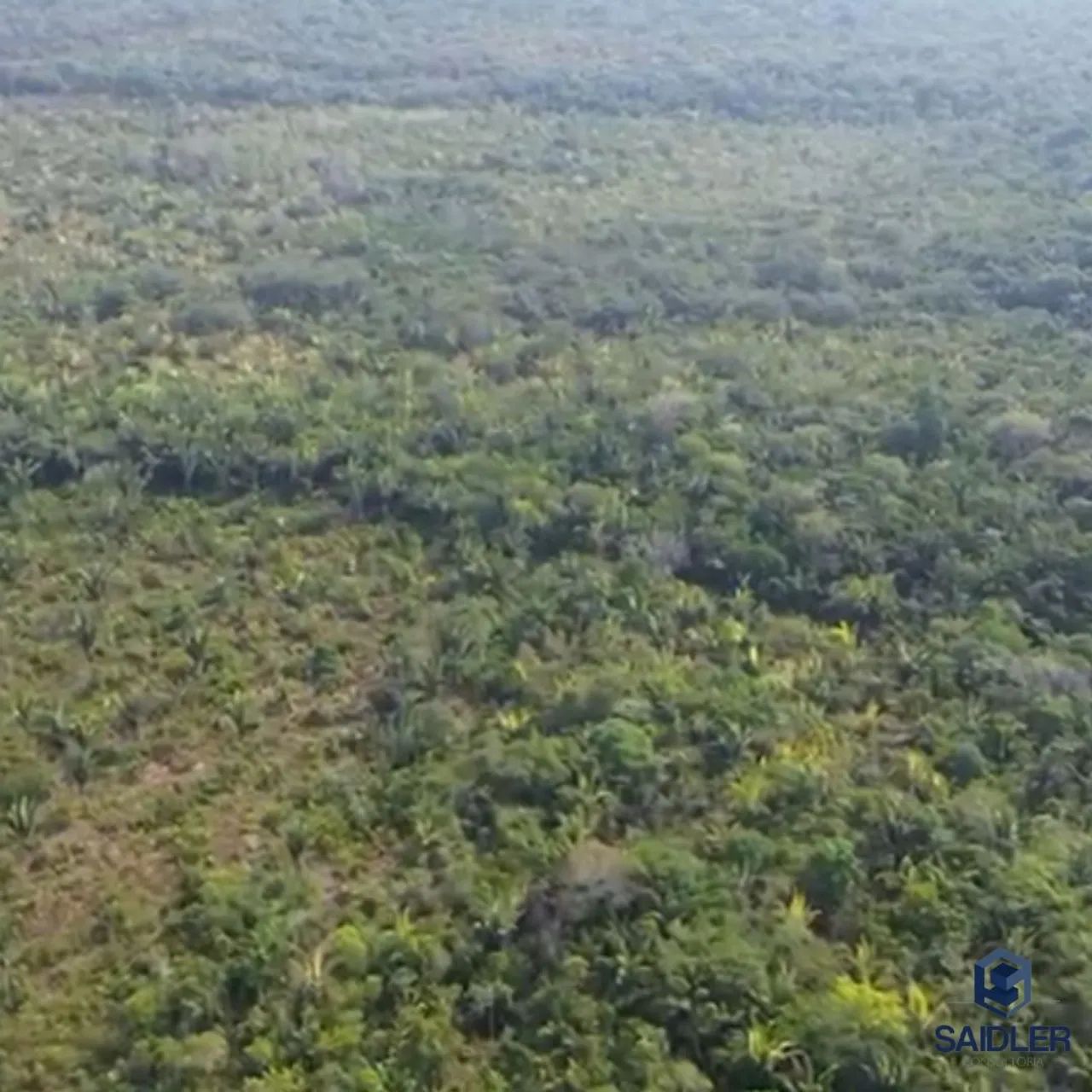 Áreas em Humaitá AM, 6.120 hectares - Foto 4