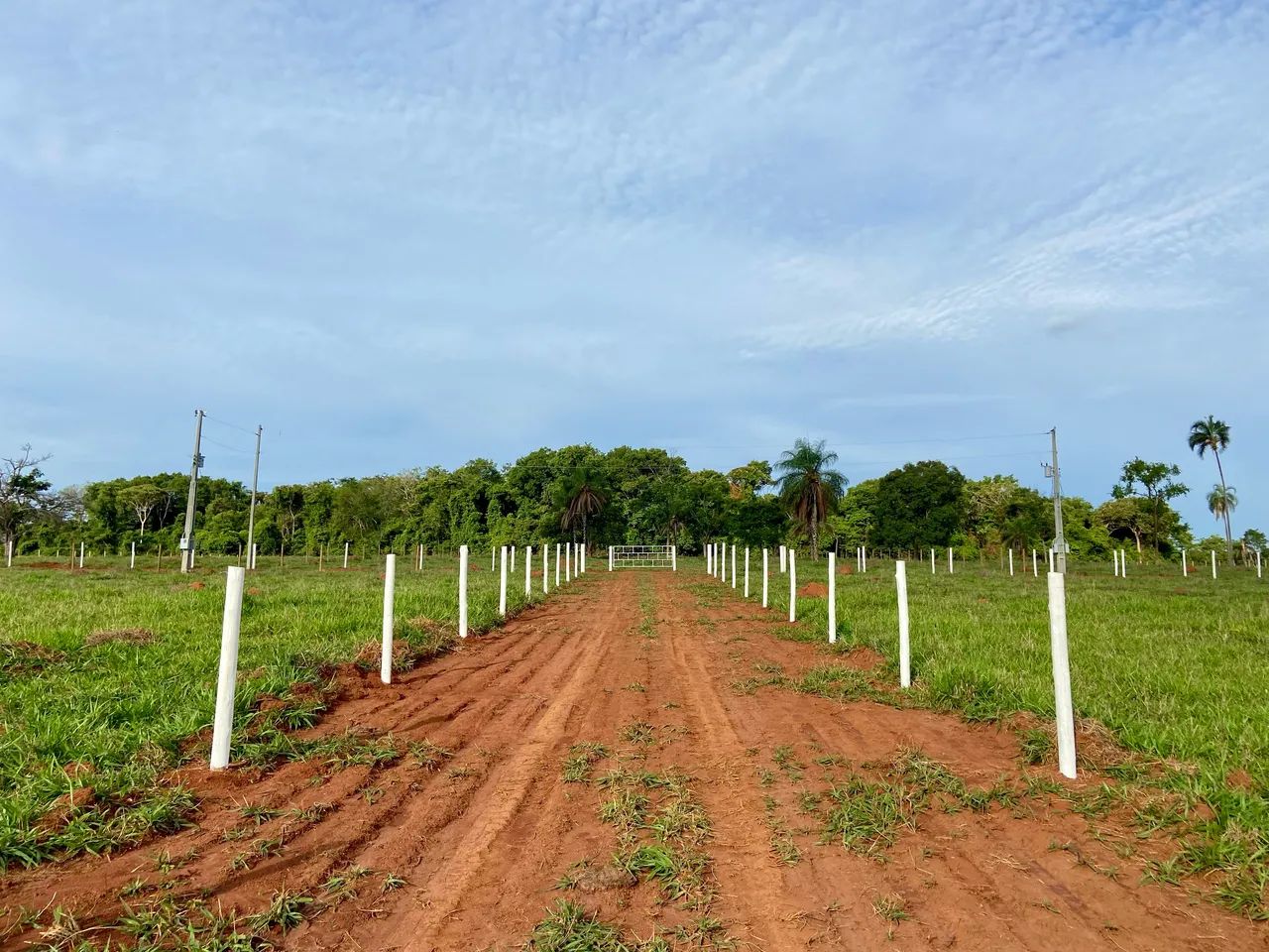 Chácara de quase meio alqueire em Petrolina de Goiás  - Foto 5