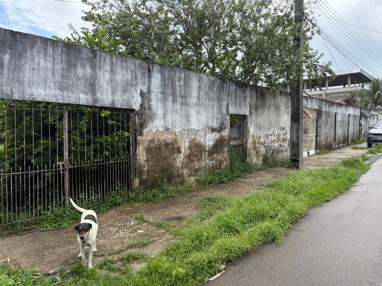 Aluga-se terreno com 2 (duas) casas.