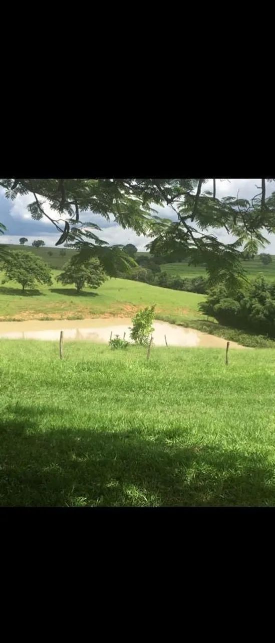 Fazenda alto padrão no triângulo mineiro  - Foto 5