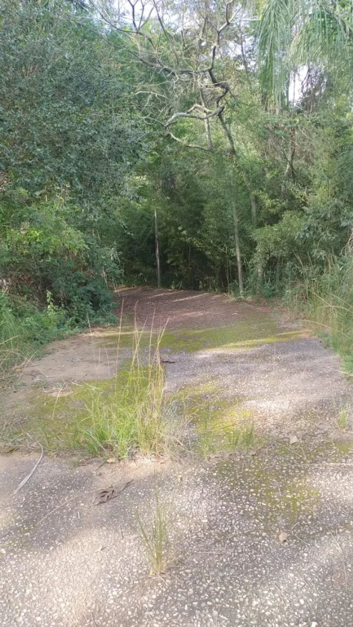 Oportunidade.Terreno (16.000 m²); preço R$ 1.000.000,00 (um milhão). Estuda-se proposta. - Foto 3