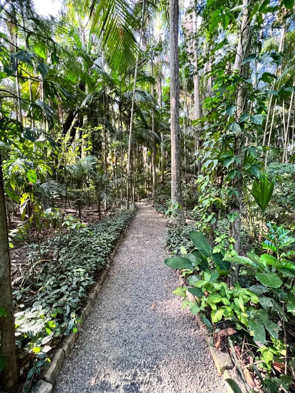 Sítio (Chácara) em Palhoça - Foto 8