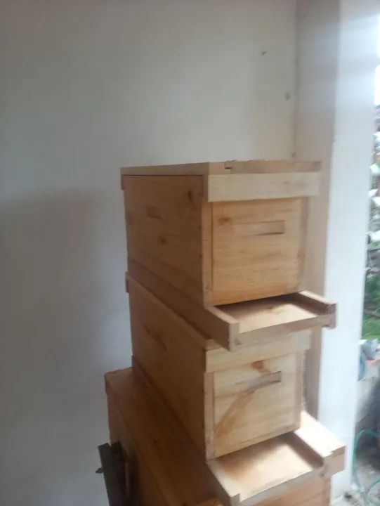 Caixa núcleo de 5 caixilhos para abelhas apis  - Foto 2