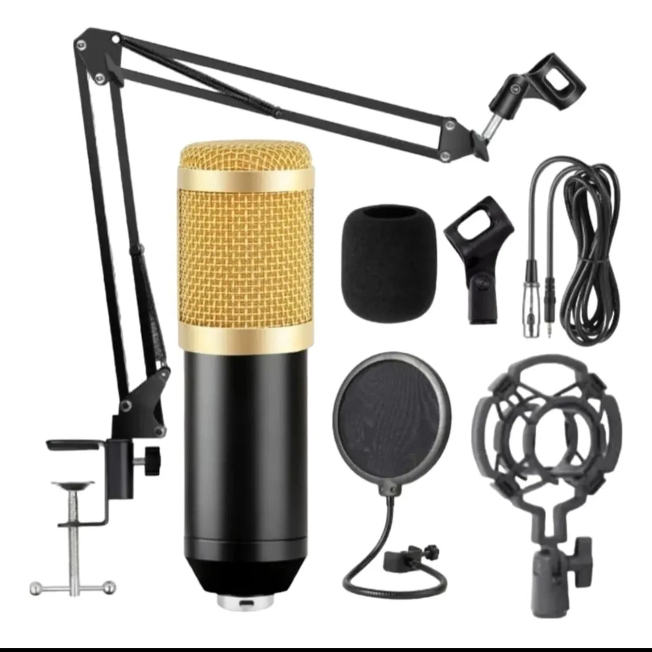 Microfone BM 800