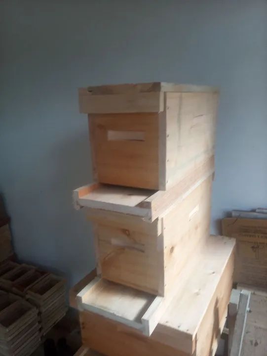 Caixa núcleo de 5 caixilhos para abelhas apis  - Foto 4