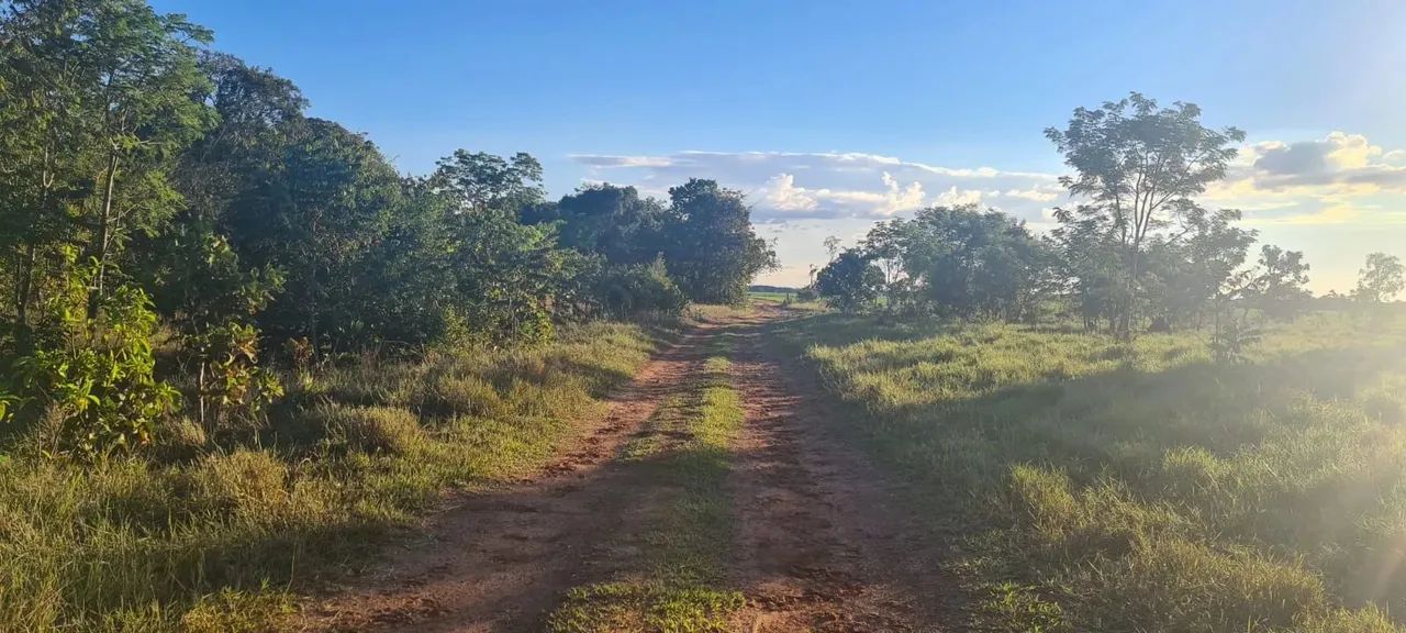 COD006  Chácara 14HECTARES VENDA -Campo Grande  MS - Foto 4