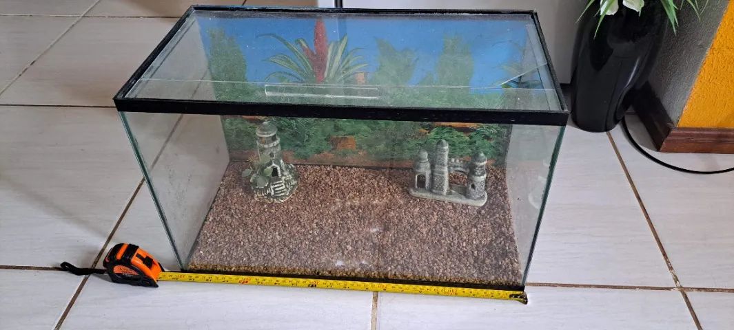 AQUÁRIO DE VIDRO 50 CENTÍMETROS  - Foto 3