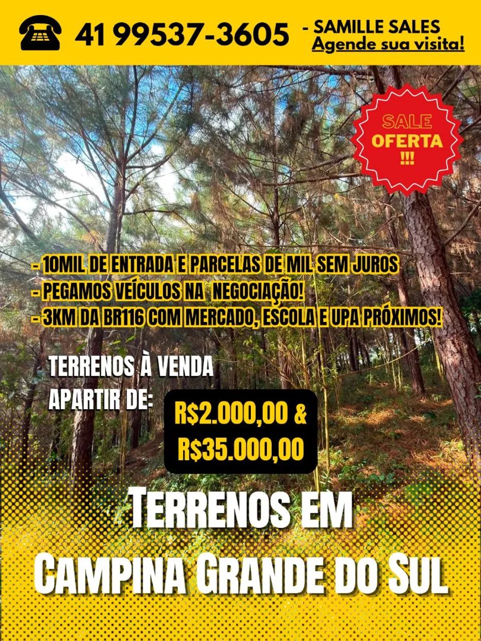 Foto - Campina Grande do Sul - 