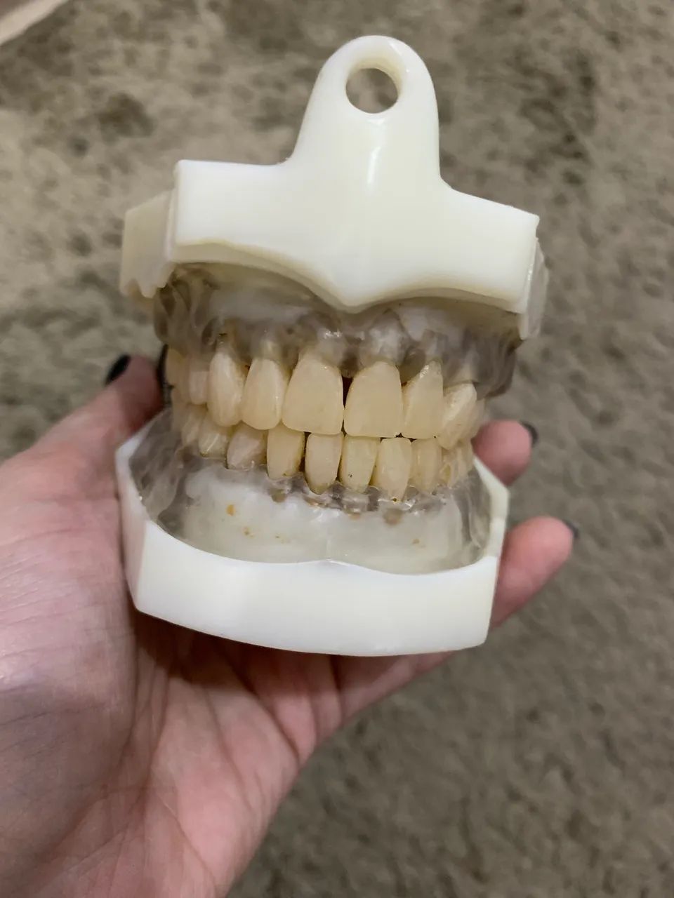Manequim odontológico Dent Art - Foto 3