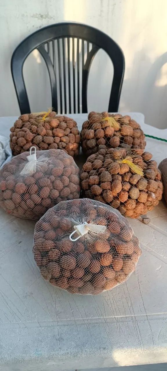 Acessórios de Aquarismo  - Foto 2