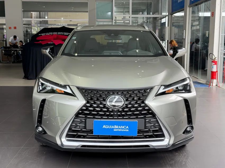 Lexus UX-250h Dynamic 2.0 16V Aut.(hybrid), foto 3 de 19
