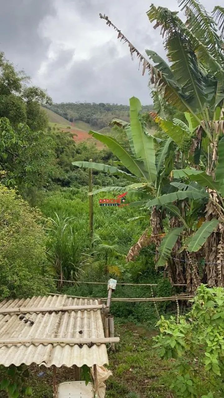 Lotes de 250 m² em Coimbra - MG - Foto 3