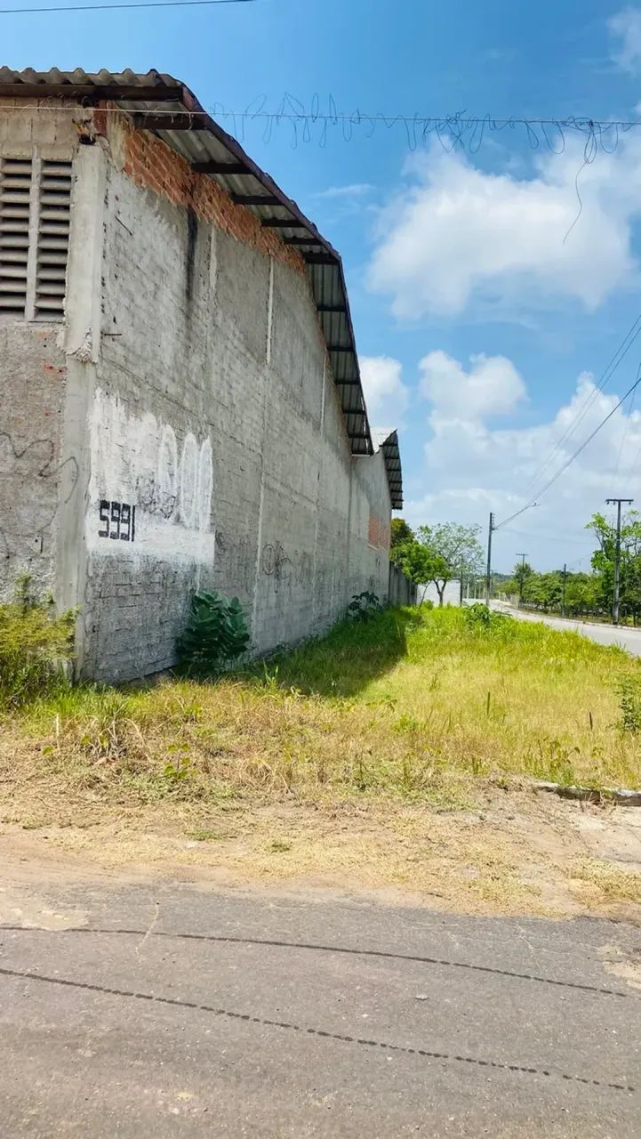 Excelentes galpões pra locação na estrada do fio . - Foto 5