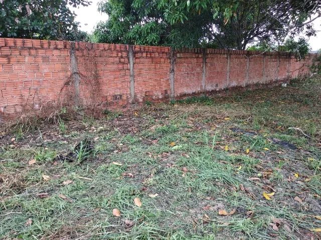 OTIMO LOTE NA VILA ACRE, 25m X 40m 