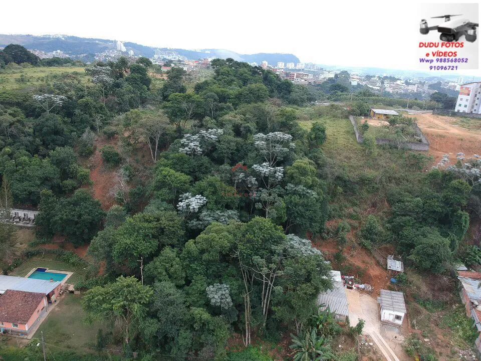 Lote / Terreno - Ipiranga - Foto 2