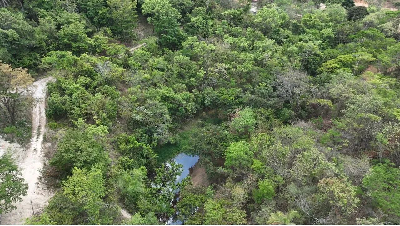 Chácara em Taquaraçu De Minas  - Foto 5