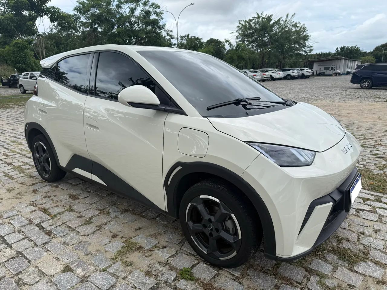 BYD Dolphin Mini (Elétrico) 2025 - Foto 3